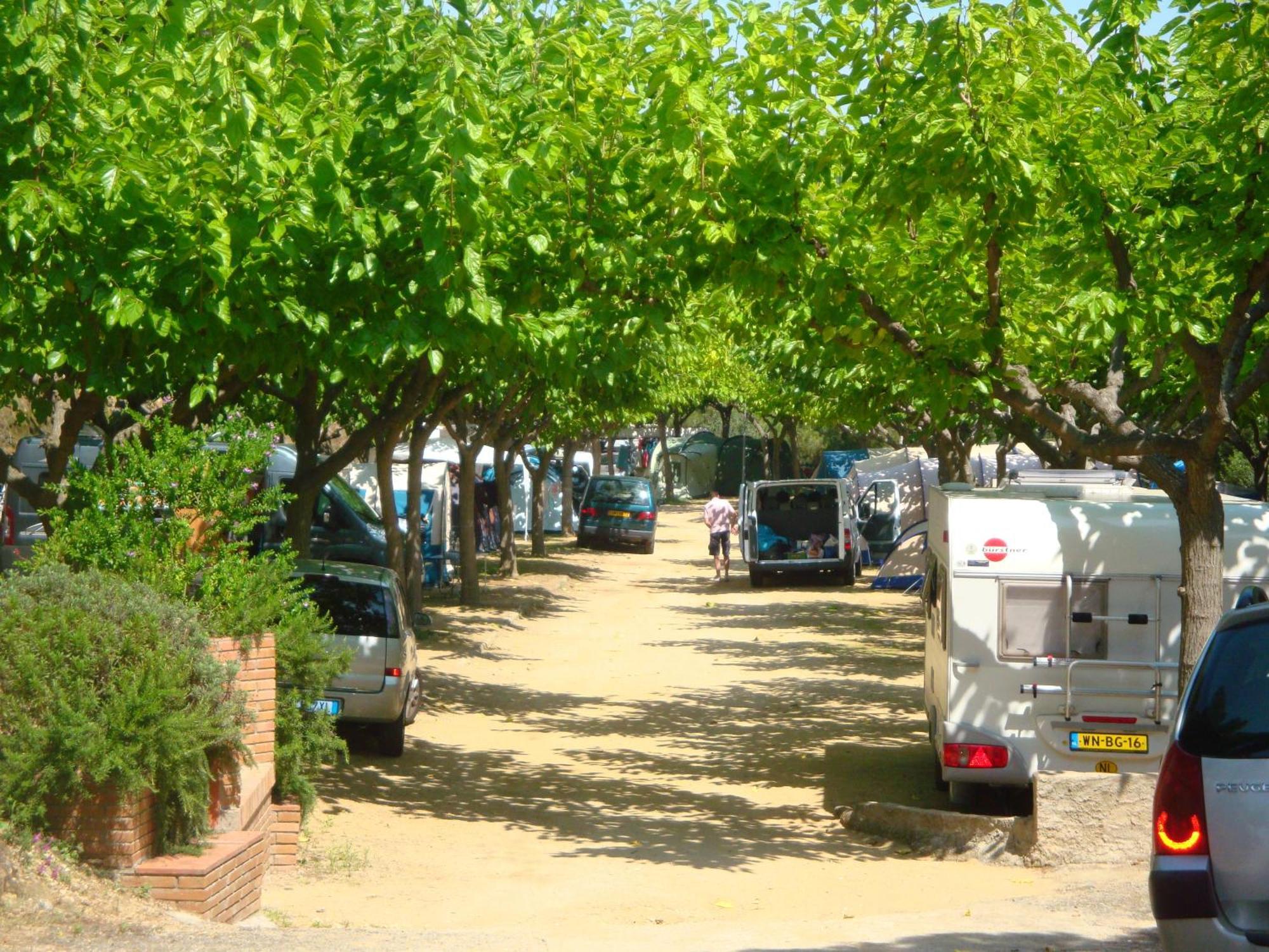 Camping Roca Grossa Calella Exterior photo